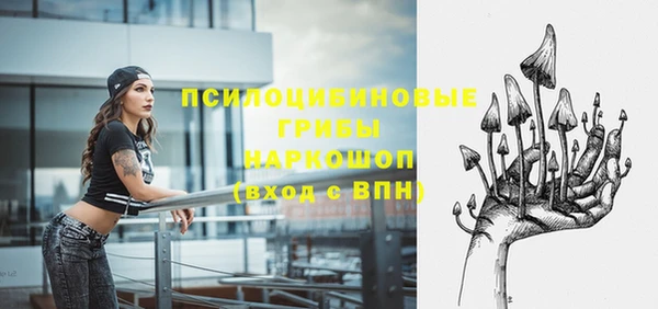 PSILOCYBIN Белокуриха