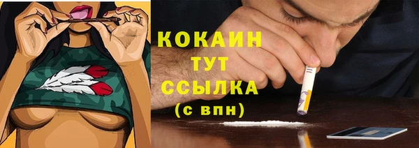 тгк Беломорск