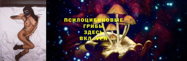 тгк Беломорск