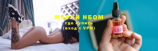 PSILOCYBIN Белокуриха