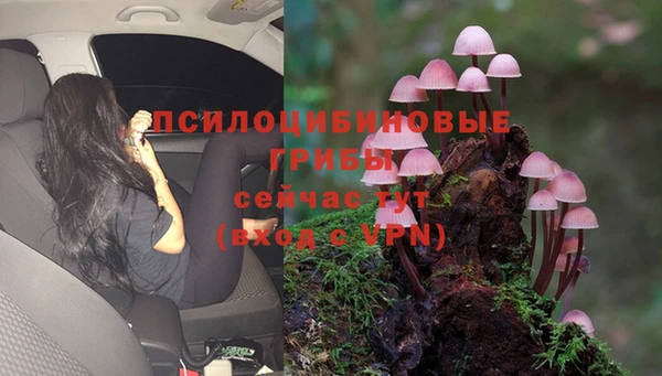 тгк Беломорск
