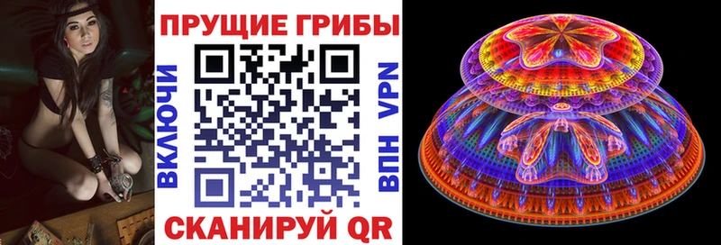 цены наркотик  Маркс  Псилоцибиновые грибы Psilocybine cubensis 
